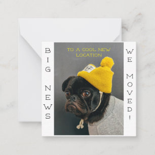 Cool Nouvel emplacement Carlin chien! Carte postal