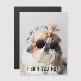 Cool Shih Tzu Pas amusant Lunettes de soleil migno