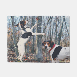 Coonhounds de marcheur de Treeing dans le tapis de