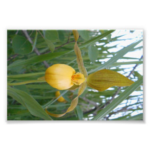 copie de la photo 6x4