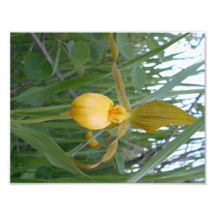 copie de la photo 8.5x11