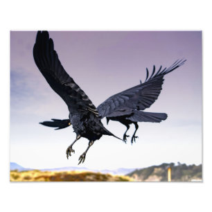 Copie de la photo de Raven en vol ensemble