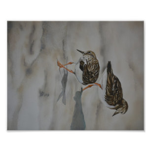 Copie de photo de reproduction d'art d'oiseau de