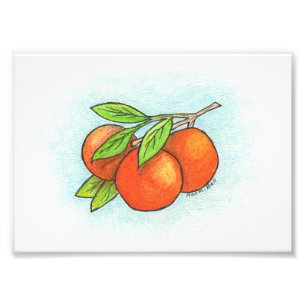 Copie de photo d'illustration d'oranges