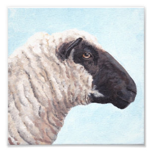 Copie de photo du visage II de moutons noirs