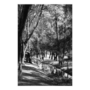 Copie de photographie du courant B&W de parc