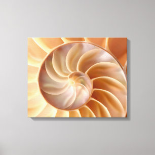 Copie de toile d'art de Shell de Nautilus de plage