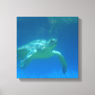 Copie de toile de bain de tortue de mer