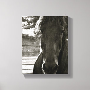 Copie de toile de photo de cheval de Fresian