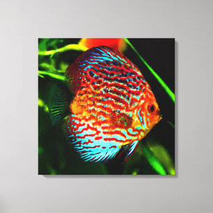Copie de toile de poissons d'aquarium de disque