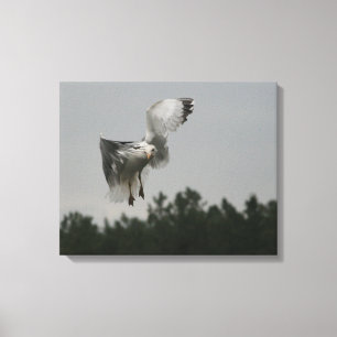 Copie de toile de zigzag