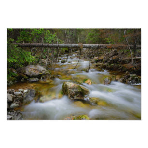 Copie rocheuse de photo de crique de forêt