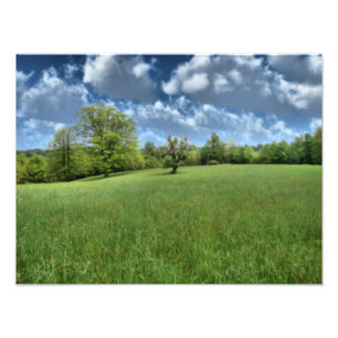 Copie verte appalachienne de photo