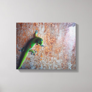 Copie verte de toile de Gecko