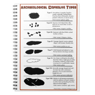Coprolite archéologique dactylographie le carnet