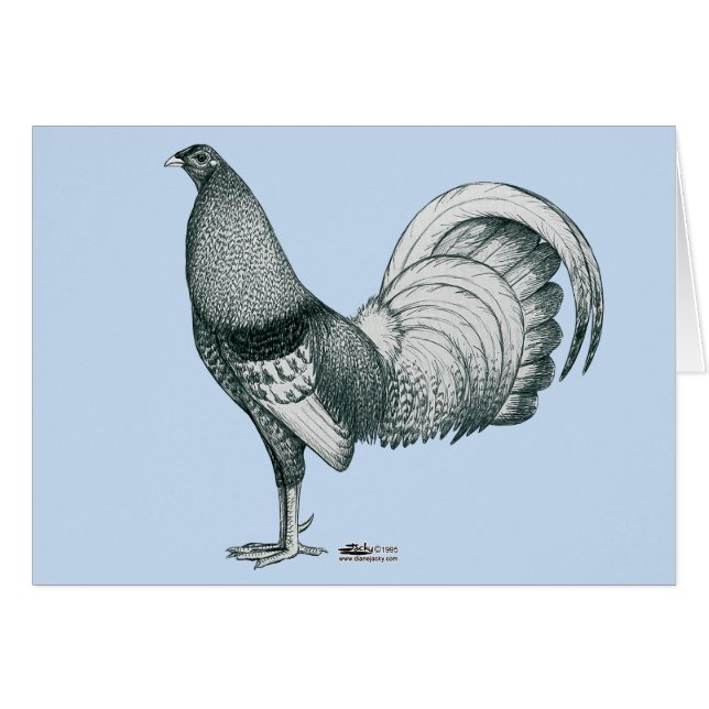 coq de combat Crele ou Dom (Devant Horizontal)