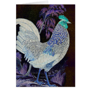 Coq d'une couleur différente