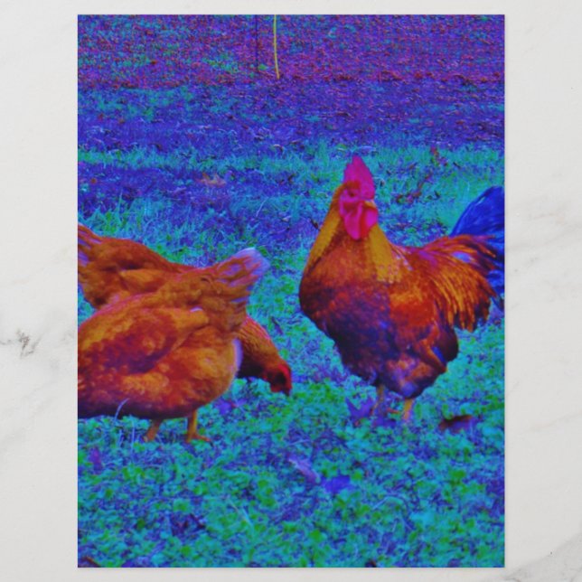 Coq et poules arc-en-ciel, bleu électrique (Devant)