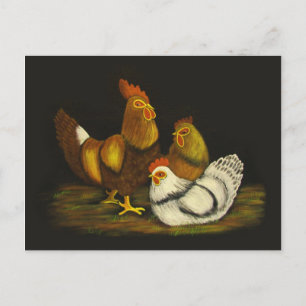 Coq et poules ~ carte postale