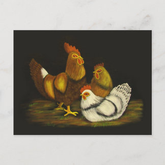 Coq et poules ~ carte postale