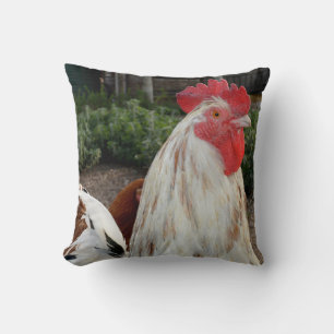 Coq fièrement brun et blanc, Coussin de jet.