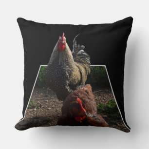 Coq Fluffy Et Gros Coussin À Throw.