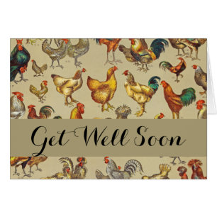 Coq Poulet de la ferme Volaille animale Pays