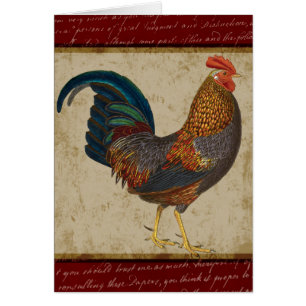 Coq rouge