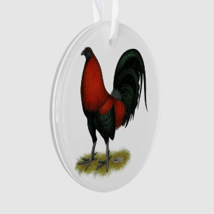 Coq Rouge Noir BB Jeu Américain