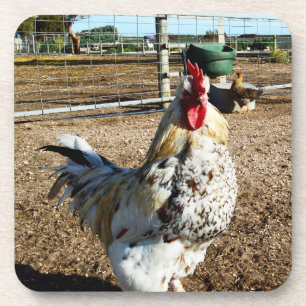 Coq Spectré À La Ferme, Dessous de verre
