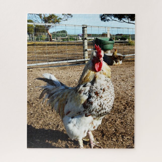 Coq Tacheté Dans Une Ferme, Puzzle (Vertical)