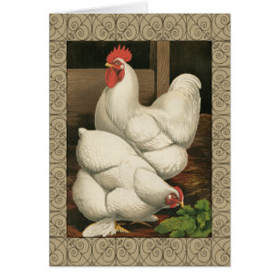 Coqs et poule en dehors de Chambre de poule avec