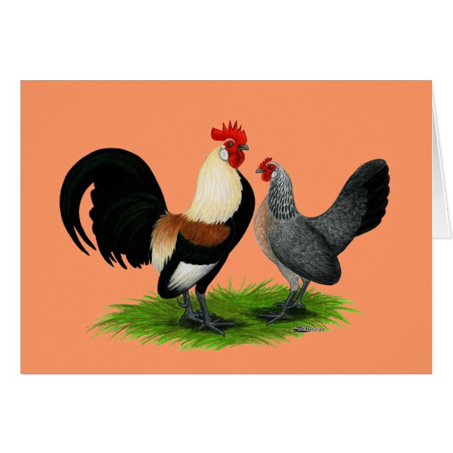 Coqs nains néerlandais :  Brun clair crème (Devant horizontal)