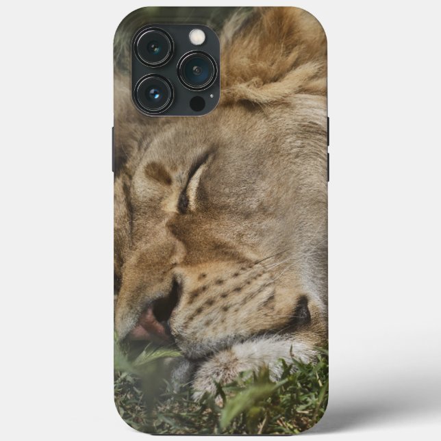 Coque animal-coque iphone d'accouplement (Verso)