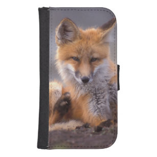 coque samsung galaxy s6 renard coque samsung galaxy s6 renard