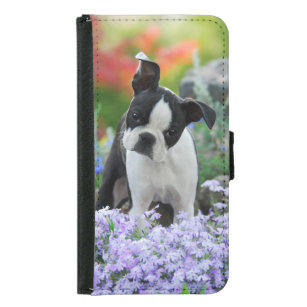 Coque Avec Portefeuille Pour Galaxy S5 Photo animale de Boston Terrier de chiot mignon de