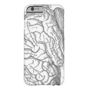 Coque Barely There iPhone 6 Anatomie vintage de cerveau