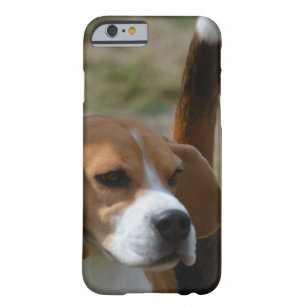 coque iphone 6 beagle coque iphone 6 beagle