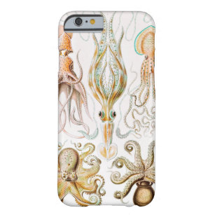 Coque Barely There iPhone 6 Calmar de poulpe, Gamochonia, par Ernst Haeckel