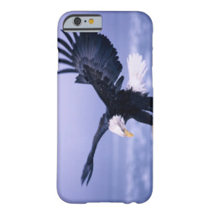 Coque Barely There iPhone 6 Eagle chauve débarquant l'étendre d'ailes dans une