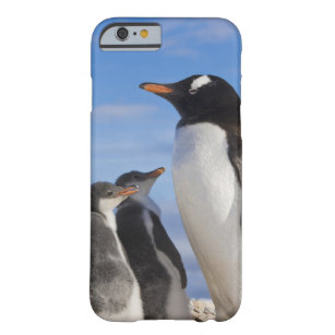 Coque Barely There iPhone 6 L'Antarctique, crique de Neko (port). Pingouin 2