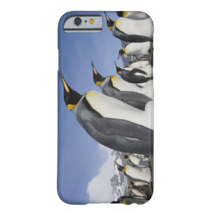 Coque Barely There iPhone 6 L'Antarctique, île du sud de la Géorgie (R-U), roi