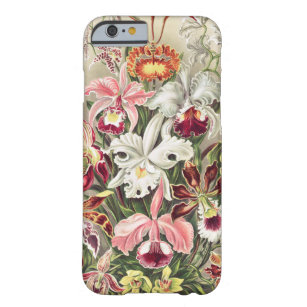 Coque Barely There iPhone 6 Orchidées, Orchidée Denusblumen par Ernst Haeckel