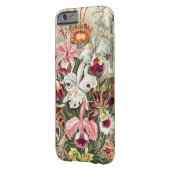 Coque Barely There iPhone 6 Orchidées, Orchidée Denusblumen par Ernst Haeckel (Dos gauche)