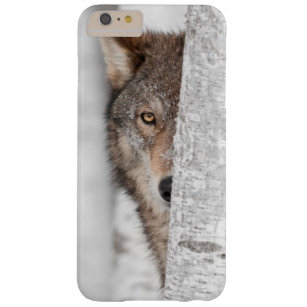 Coque Barely There iPhone 6 Plus Loup gris (lupus de Canis) derrière l'arbre