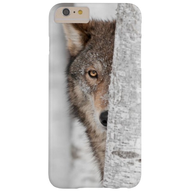 Coque Barely There iPhone 6 Plus Loup gris (lupus de Canis) derrière l'arbre (Dos)