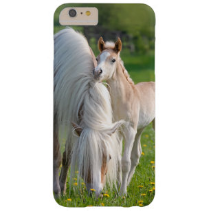Coque Barely There iPhone 6 Plus Poulain mignon de bébé de chevaux de Haflinger