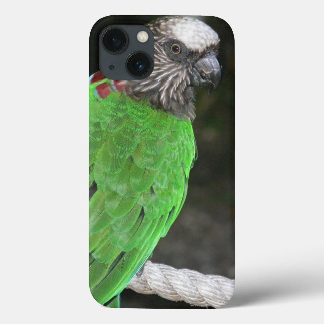 coque "BRIGHT GREEN PARROT" POUR iPHONE 7 (Verso)