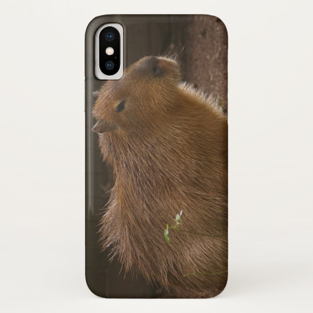 Coque Capybara coque iphone-Mate (Dos)