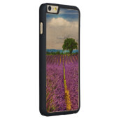 Coque Carved En Bois Pour iPhone Lavender Field pittoresque, France (Droite)